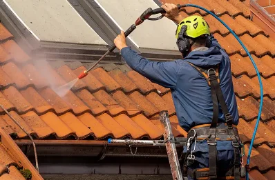 Démoussage et hydrofuge de toiture à Fareins